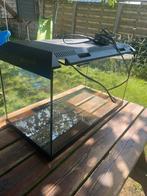 Aquarium Juwel, Dieren en Toebehoren, Vissen | Aquaria en Toebehoren, Ophalen, Zo goed als nieuw