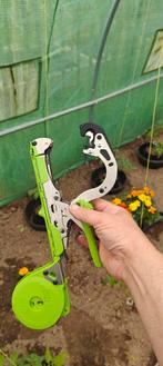 Maxtang bindtang, Enlèvement