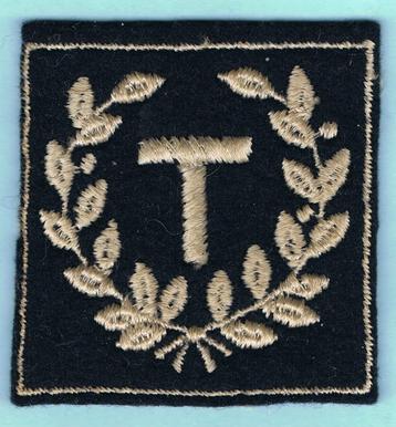 Belgian Air Force Sleeve Insignia ( A44 ) beschikbaar voor biedingen