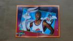 Panneau d'autocollants Michael Jordan '97 Space Jam #256/257, Sports & Fitness, Basket, Comme neuf, Autres types, Envoi