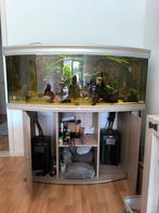 Aqualantis 150, Dieren en Toebehoren, Ophalen, Zo goed als nieuw
