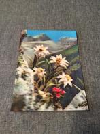 3D postkaart edelweiss, 1960 tot 1980, Ongelopen, Ophalen of Verzenden, Oostenrijk