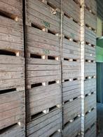 paloxen, Zakelijke goederen, Landbouw | Aardappelen, Groenten, Fruit en Vlees, Ophalen