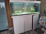 Aquarium  met visjes, Dieren en Toebehoren, Ophalen, Zo goed als nieuw