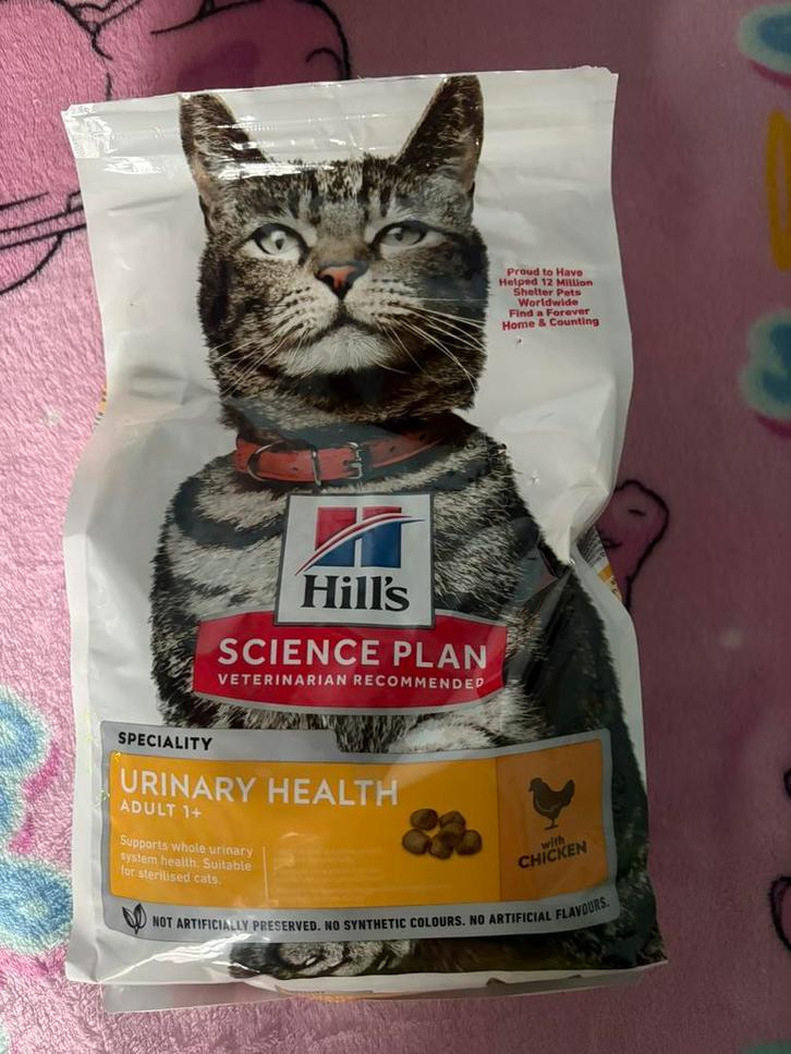 Croquettes hill’s, Animaux & Accessoires, Nourriture pour Animaux, Chat, Enlèvement ou Envoi