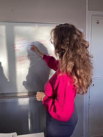 Bijles Frans en Wiskunde - Zomerstage, Diensten en Vakmensen, Bijles, Privé-les en Taalles, Bijles