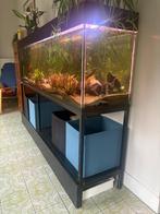 Groot aquarium 400L met accessoires – 200 cm breed!, Dieren en Toebehoren, Ophalen, Gebruikt, Gevuld zoetwateraquarium