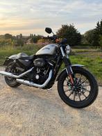 Harley Davidson Iron 883 2015 TC ok 7695km, Motoren, Motoren | Harley-Davidson, 2 cilinders, Chopper, 883 cc, Particulier