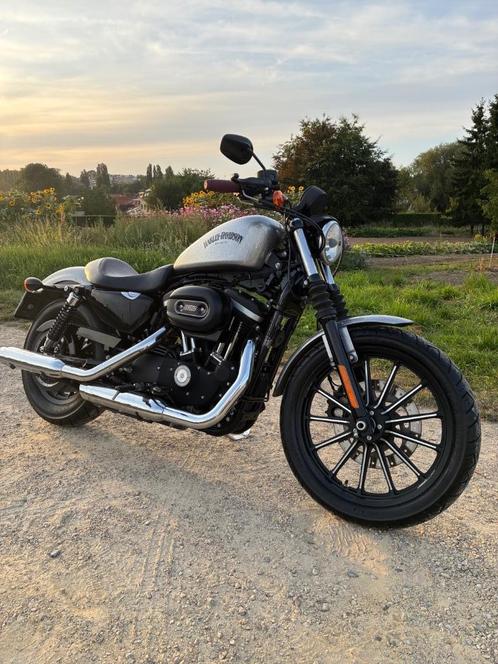Harley Davidson Iron 883 2015 TC ok 7695km, Motoren, Motoren | Harley-Davidson, Particulier, Chopper, 12 t/m 35 kW, 2 cilinders