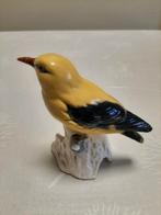 Goebel vogel, Ophalen, Nieuw, Dier