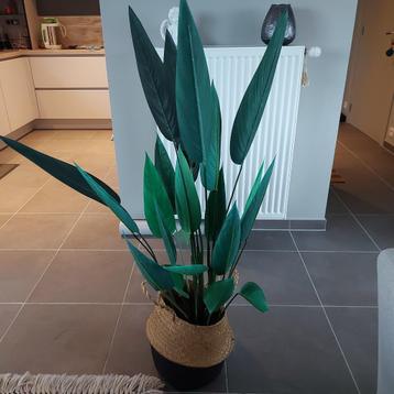 Decoratie beschikbaar voor biedingen