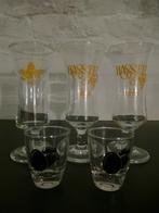 3 VERRES HASSELT KAFFE et 2 VERRES POUR AVOCAT, Autres types, Envoi, Neuf