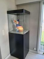 vitrine kast, Huis en Inrichting, Ophalen, Gebruikt, 50 tot 100 cm, Glas