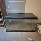 Aquarium 60x 30 x 30, Dieren en Toebehoren, Ophalen, Gebruikt, Leeg aquarium