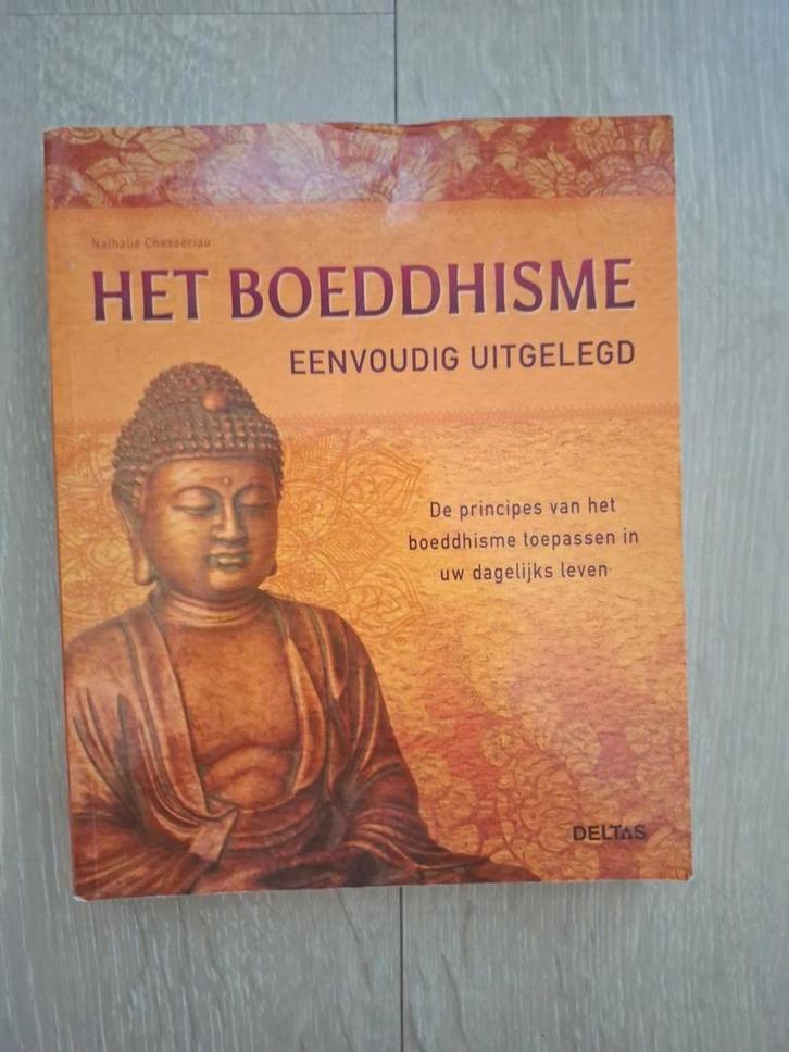 Nathalie Chasseriau - Het boeddhisme eenvoudig uitgelegd, Boeken, Godsdienst en Theologie, Zo goed als nieuw, Boeddhisme, Ophalen of Verzenden