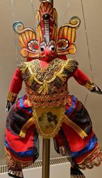 Aziatische trekpop Arend origine Sri Lanka, Ophalen