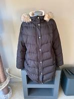 Donsjas van Ralph Lauren met capuchon - maat XL, Kleding | Dames, Jassen | Winter, Zwart, Maat 46/48 (XL) of groter, Ophalen of Verzenden