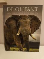 De olifant, Ophalen, Gelezen