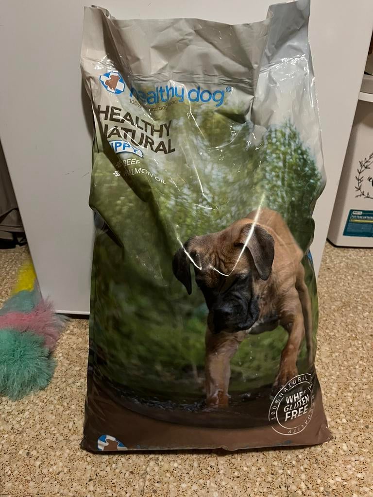 Healthy dog Puppy, Dieren en Toebehoren, Ophalen