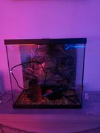 Aquarium, Ophalen, Zo goed als nieuw