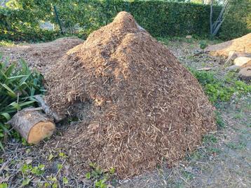 houtsnippers al mooi gedroogd  beschikbaar voor biedingen