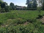 Weide gratis, Dieren en Toebehoren