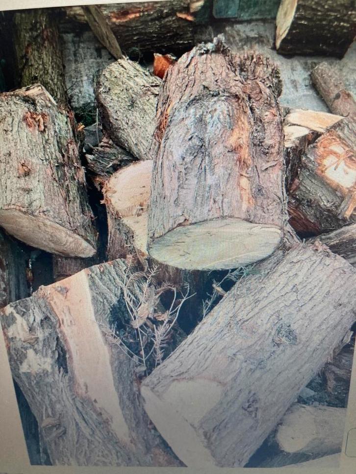 Bois de chauffage pour arbres fruitiers et feuillus à vendre, Jardin & Terrasse, Bois de chauffage, Branches, Autres essences de bois