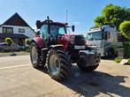 Case IH Puma 165 CVX, Ophalen, Gebruikt, Meer dan 10000, Case IH