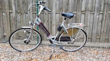 Gazelle  beschikbaar voor biedingen
