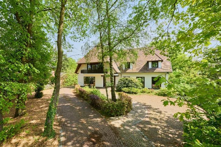 Vakantiewoning 15 personen Lommel Bosland familievakantie, Vakantie, Vakantiehuizen | België, Limburg of Luik, Landhuis of Villa