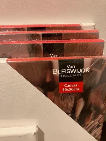 CANVASSEN om te SCHILDEREN of KNUTSELEN  beschikbaar voor biedingen