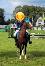 D pony, Merrie