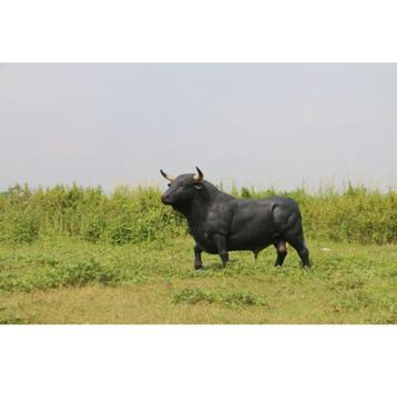 Spanish Fighting Bull beeld - Spaanse Stier Lengte 221 cm