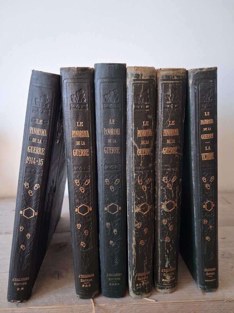 Le panorama de la guerre WW1, Livres, Encyclopédies, Enlèvement ou Envoi