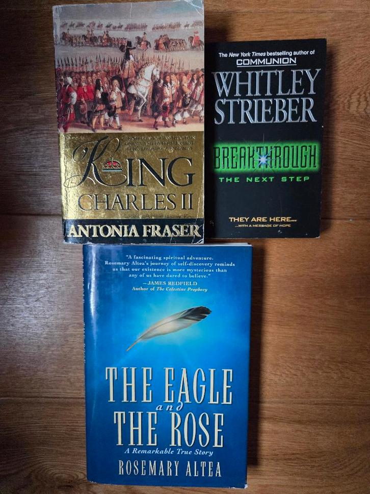 engelse boeken - non fictie, Boeken, Taal | Engels, Zo goed als nieuw, Non-fictie, Ophalen of Verzenden