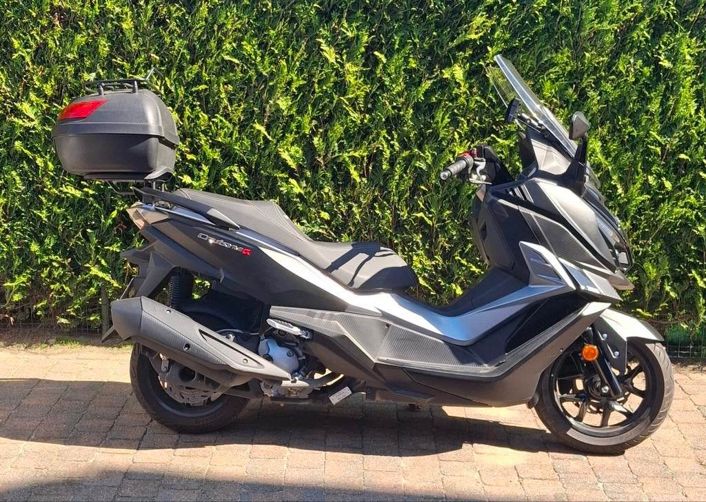 Cruisym Alpha  abs 300cc bj 2024, Ophalen