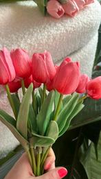 10 tulipes bicolores rose et orangé rouge au bas, Enlèvement ou Envoi