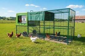 het eierenpaleis kippenhok kunststof, Animaux & Accessoires, Volatiles | Accessoires, Enlèvement