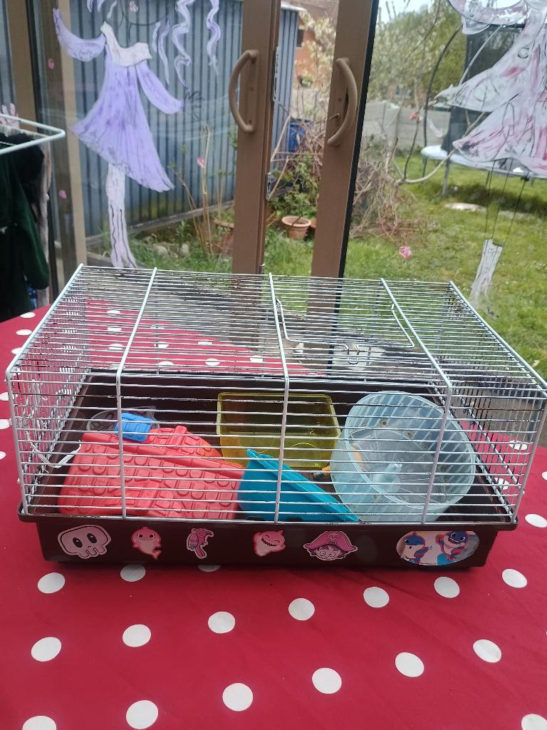 Cage a rongeurs complet avec éléments, Animaux & Accessoires, Rongeurs & Lapins | Cages & Clapiers, Souris, Moins de 60 cm, Cage