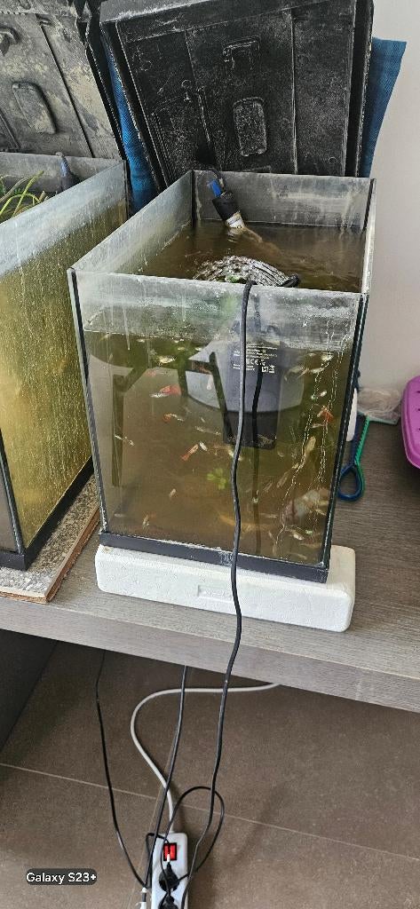 2 aquariums +vissen, Ophalen, Gebruikt, Gevuld zoetwateraquarium, Overige merken