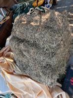 GRATIS hooi, Dieren en Toebehoren, Stalling, 4 paarden of pony's of meer