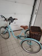 Tri-bike Papillon Classic S24 (elektrisch), Fietsen en Brommers, Ophalen, Zo goed als nieuw, Tri-bike