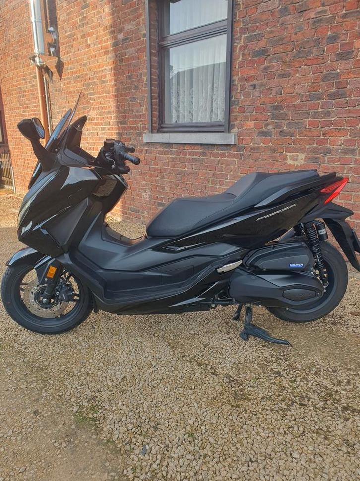 Honda forza, Animaux & Accessoires, Box & Pâturages