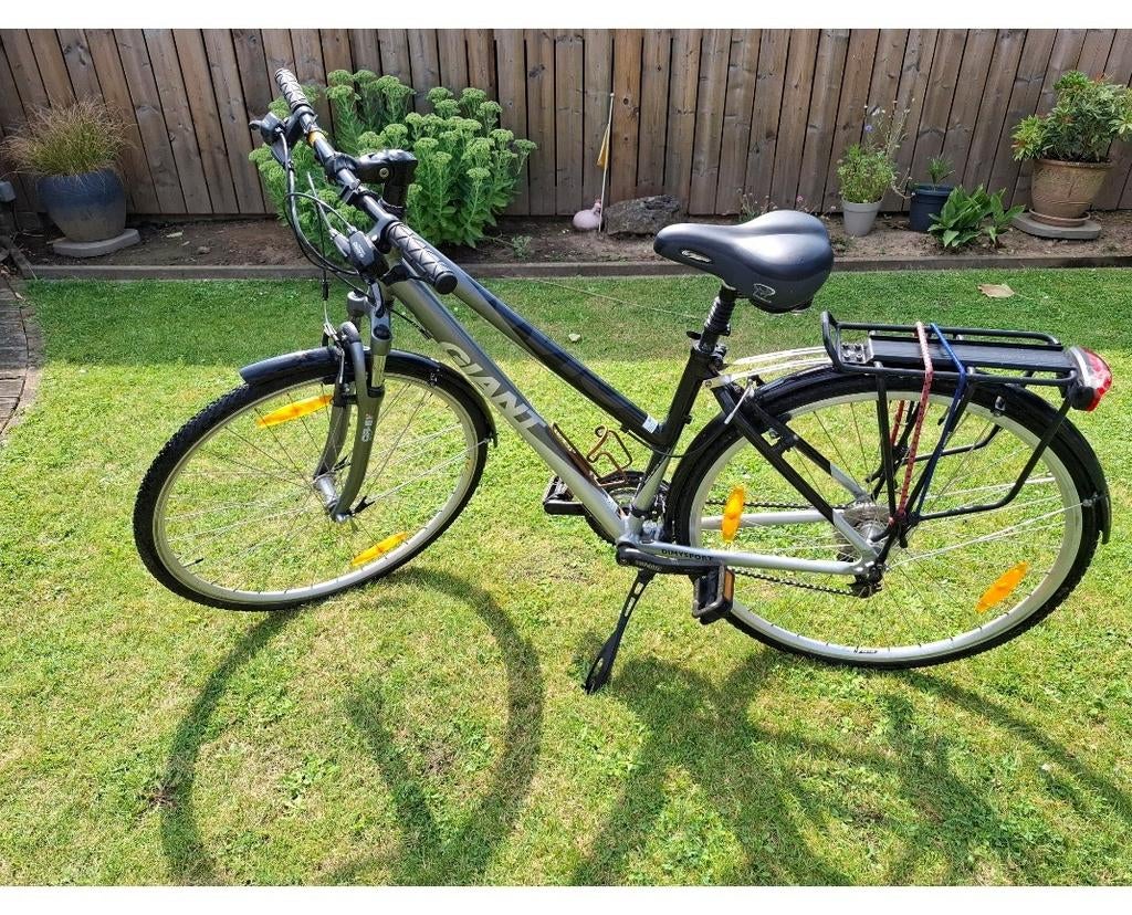 Giant dames fiets, Ophalen, Giant