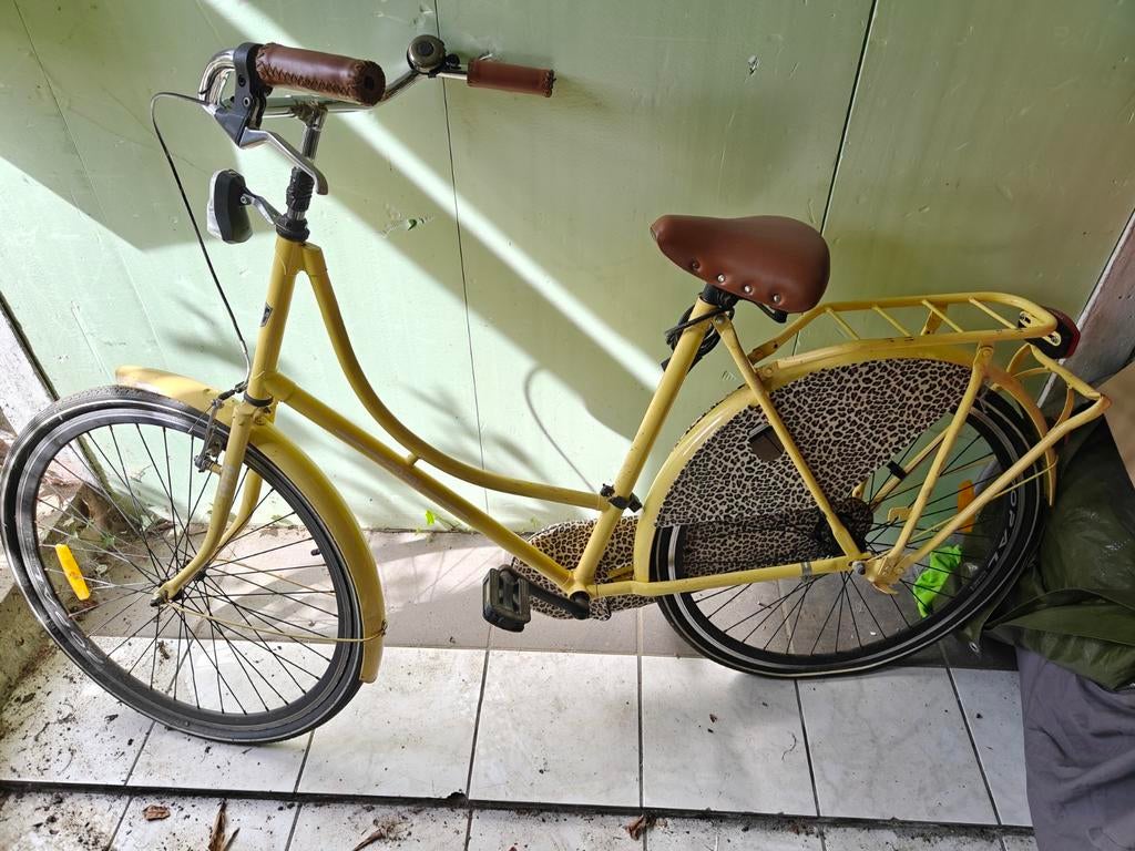 Vélo pour femme, Enlèvement