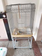 Cage oiseaux, Animaux & Accessoires, Enlèvement