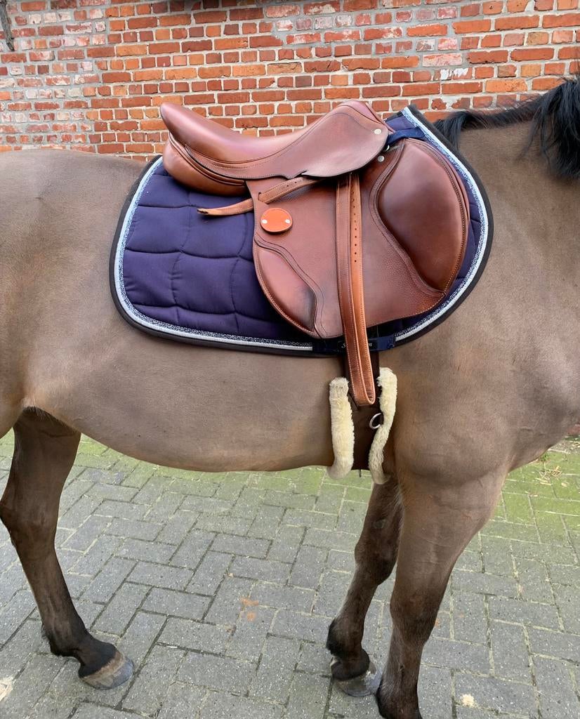 Mooi bruin zadel te koop, 17 inch, Ophalen