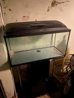 Aquarium, Dieren en Toebehoren, Ophalen, Gebruikt, Leeg aquarium