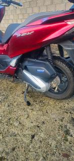 Honda pcx 125 cc, Motoren, Motoren | Honda, Scooter, Particulier, 125 cc, 11 kW of minder