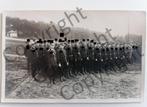 Originele foto uit de WWII - Groep Duitse soldaten, Verzamelen, Militaria | Tweede Wereldoorlog, Ophalen of Verzenden, Overige soorten